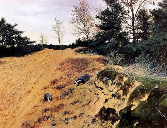 Verstappen Pieter Nature 06 Sun. Verstappen, �����