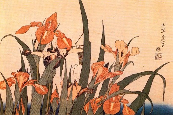 pic09600. �������