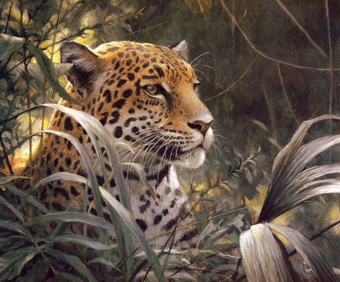 Bateman, Robert - Symbol of the Rainforest - Spotted Jaguar (end. Bateman, 