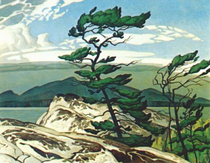 casson white pine 1957. 