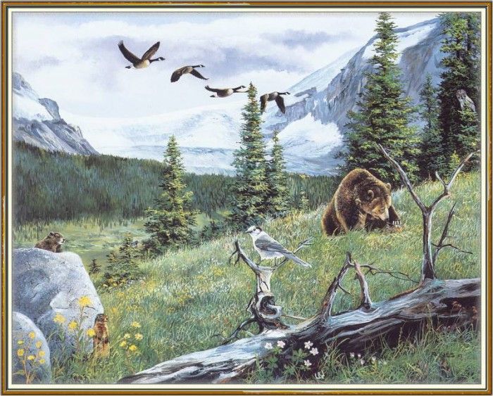 KissAndrew-A Mountain Alphabet-Grizzly-WeaISC. , 