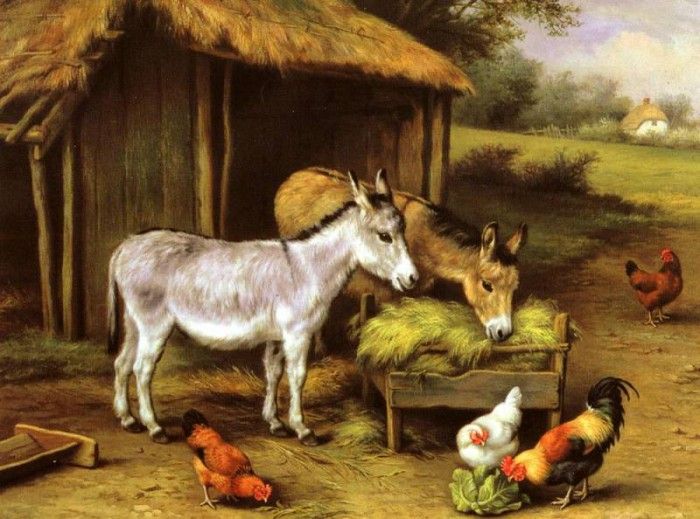 Hunt Edgar Chickens And Donkeys Feeding Outside A Barn. , 