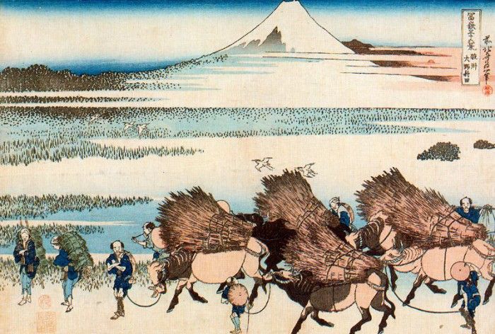 pic09549. �������