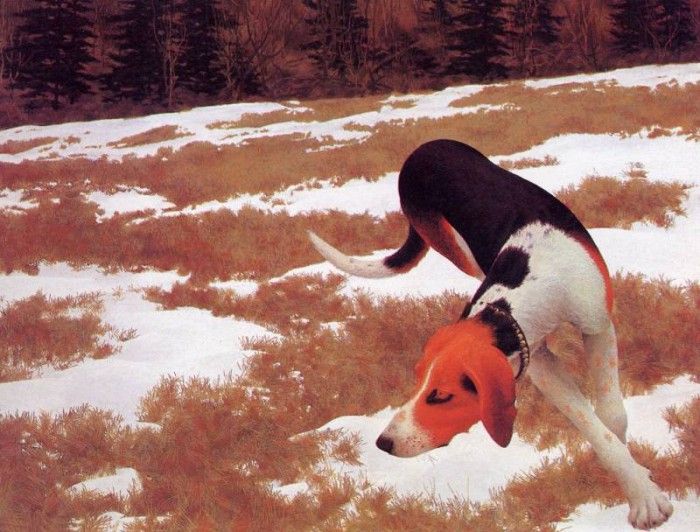 Alex Colville - Hound in Field, De. , 