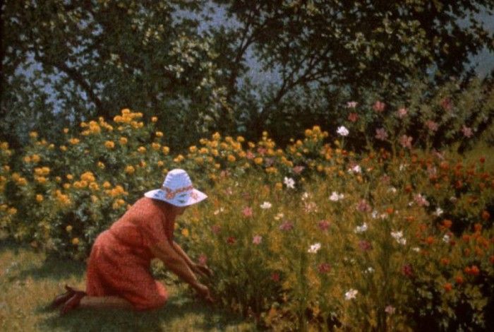 WHITNEY Richard Gathering Flowers 14x21 35mm slide. , 