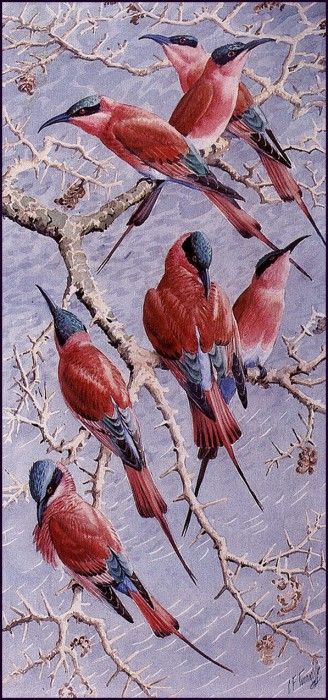 43604. Tunnicliffe, 