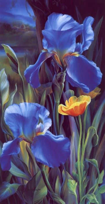 lrsDunn-HarrVicBlueIrises. 