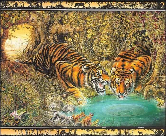 lrsBaseGraeme Waterhole02Tigers. ����, ����