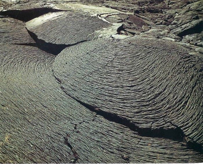 art 745. ������, �����