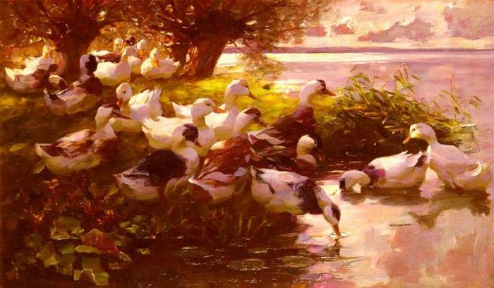 Koester Alexander Max Ducks On A Lake. , 