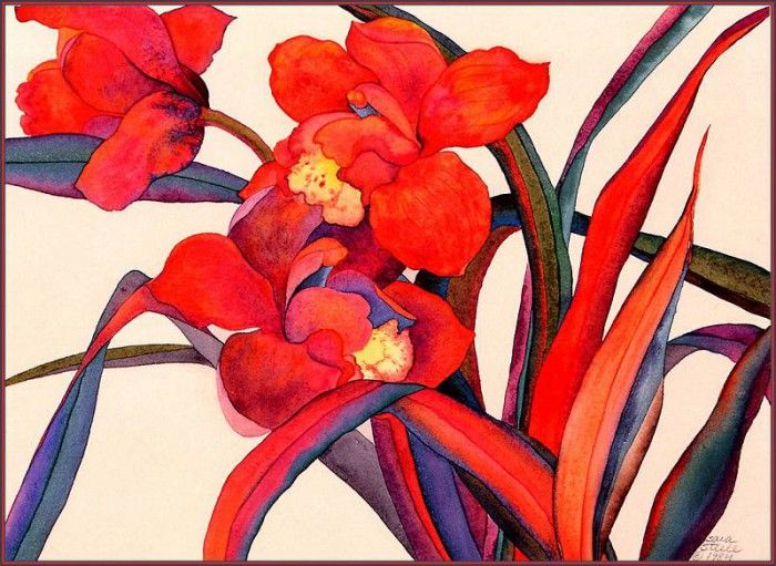 bs-flo- Sara Steele- Cymbidium Anna Marie- Sunshine. , 