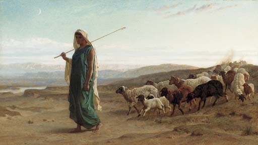Rachel and her flock And behold Rachel his daughter cometh with the sheep. , 