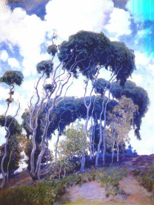rose laguna eucalyptus 1917. , 