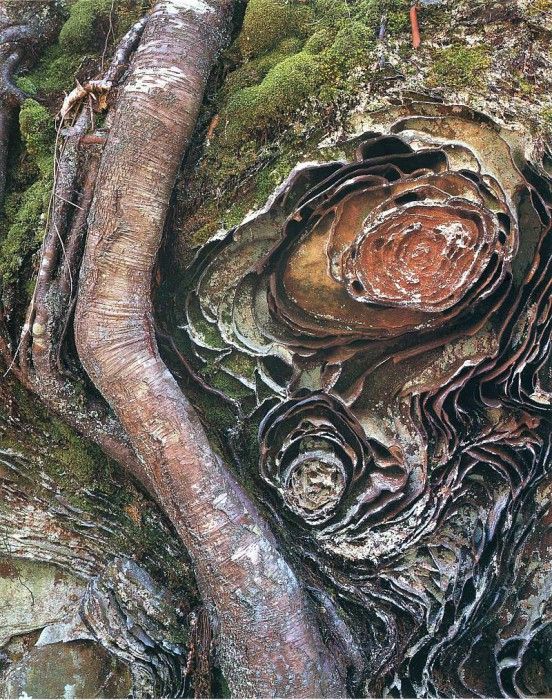 art 667. ������, �����