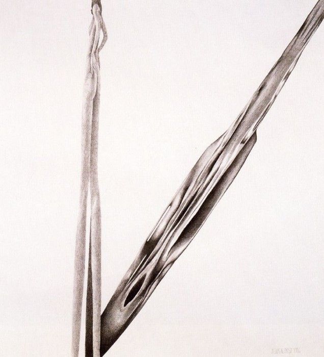 26928. ������, �����