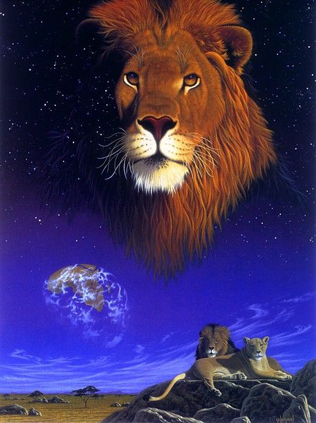 Serengeti Soul. Schimmel, 