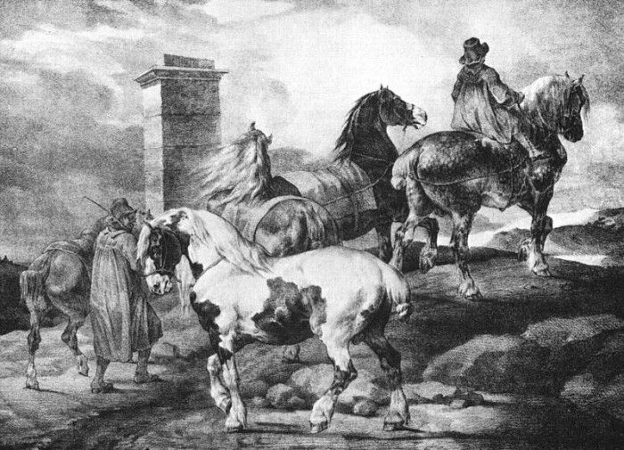 Horses CGF. ,    