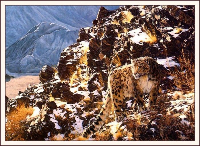 bs-na- Simon Combes- Mountain Myth. , 