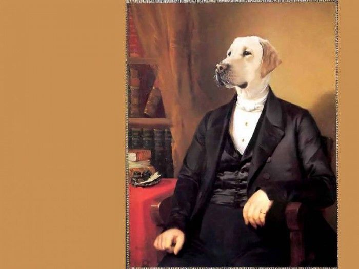 dog portraits csg024 sir rufus wilbraham. , 