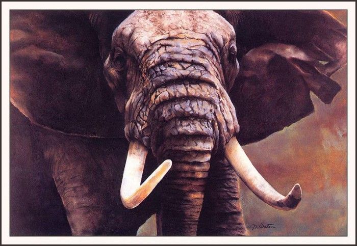 bs-na- Janet N Heaton- Tanzania Tusker. ,  N