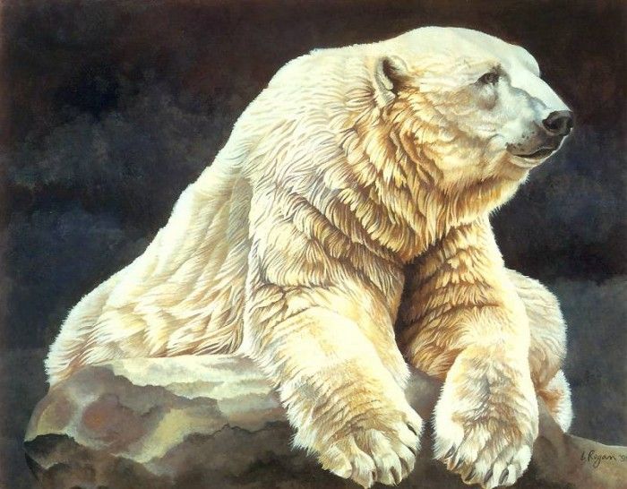 s4-vanishingspecies028-polarbear. , L