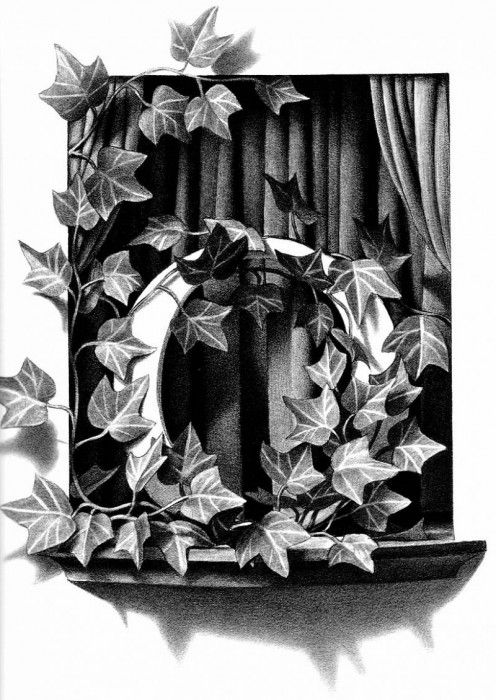 Z 015 The O was Rapidly Overgrown ChrisVanAllsburg sqs. Allsburg,  