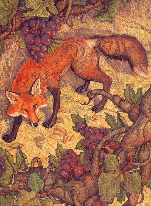 lrsDailyDonFox&theGrapes.  