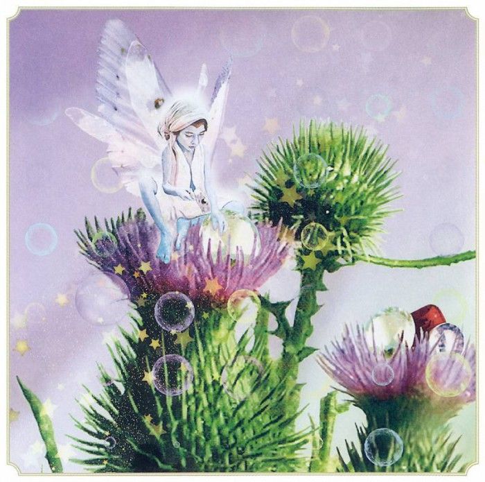 kb Cross Tom Aut Thistle Fairy. , 