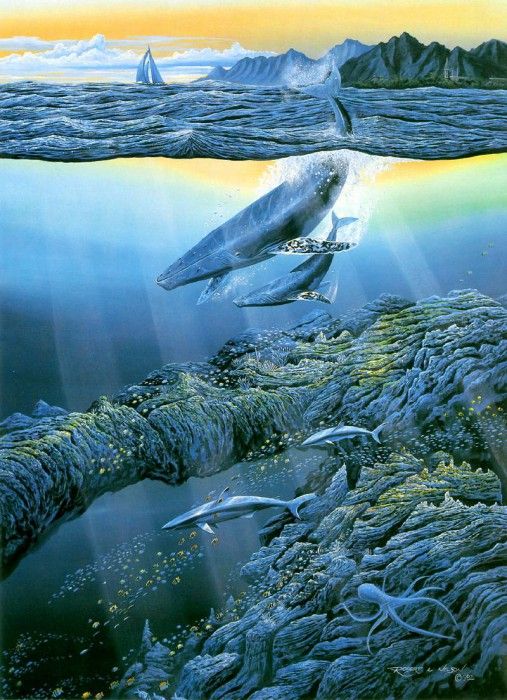 kb Nelson RL Aquatic Splendor. ,  