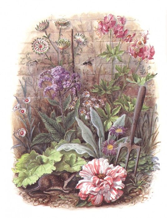 bs sg Secret Garden 04 [Graham Rust]. ��������, ����