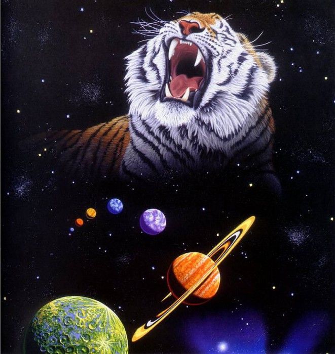 01. Schimmel, ������