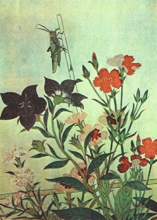 Utamaro Rice Locust- Red Dragonfly- Pinks- Chinese Bell Flowers 1788. , 