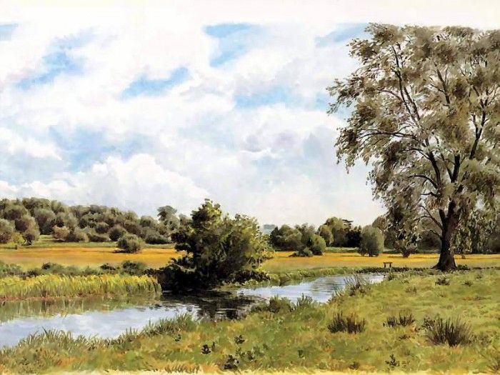 waters edge csg006 buttercup meadows beside the river nadde. , 