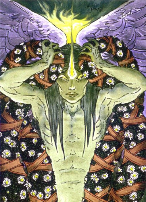 vc kaluta42. Kaluta, 