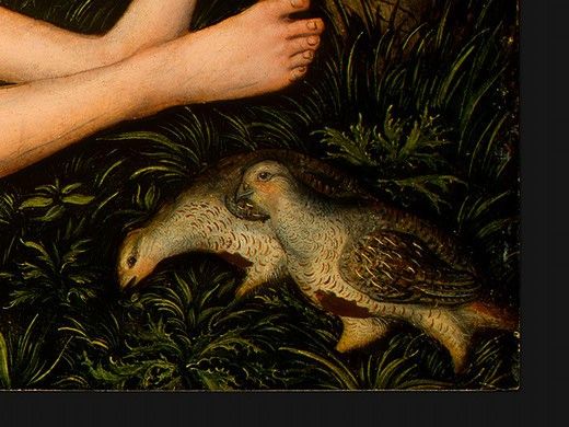 Cranach d.a. The Nymph of the Spring, after 1537, Detalj 8, . ,  