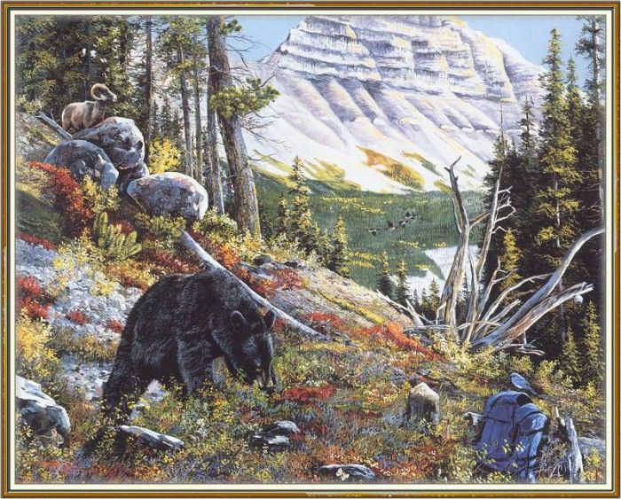 KissAndrew A Mountain Alphabet Black Bear We@ISC. �������, ������