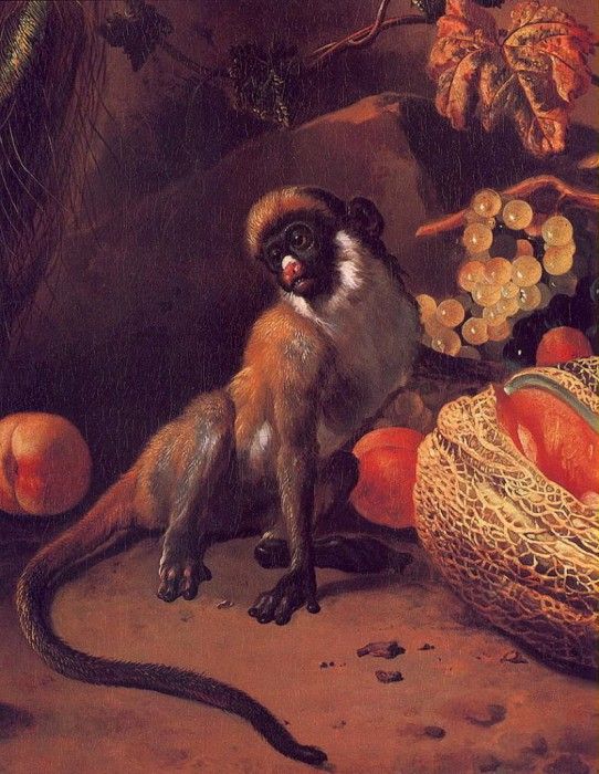 lrsd Hondeoeter Mechior Monkey& Fruit. Hondecoeter,  