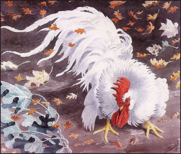 43628. Tunnicliffe, 