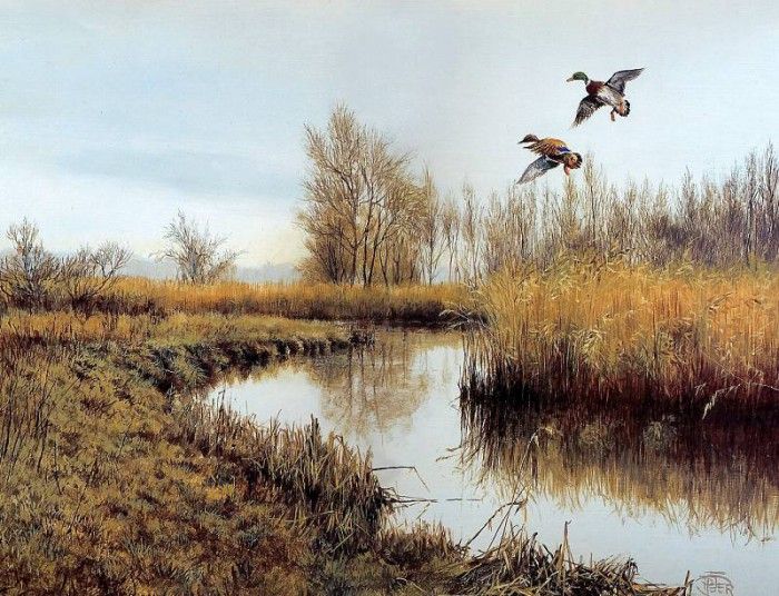 Verstappen Pieter Nature 10 Sun. Verstappen, �����