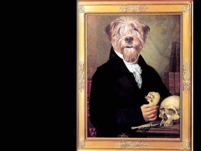 dog portraits csg038 august karlfried pfummel. , 