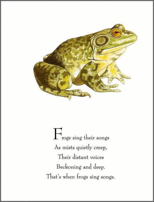 pa TonyOliver FrogsSingSongs 08a. , 