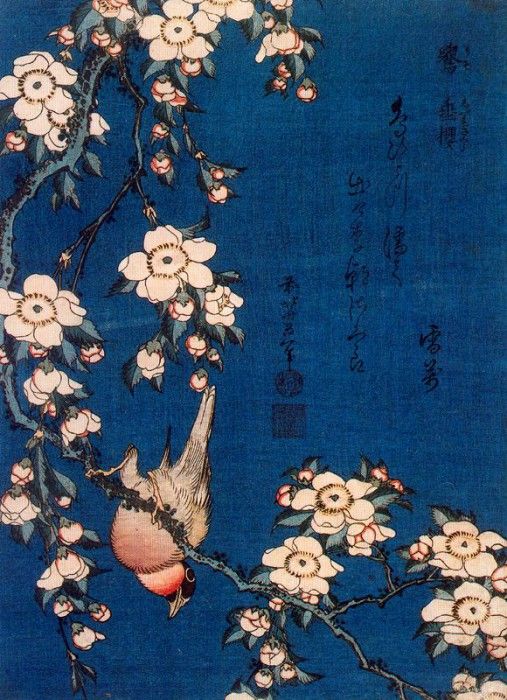 pic09494. �������