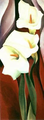 32363. OKeeeffe, 