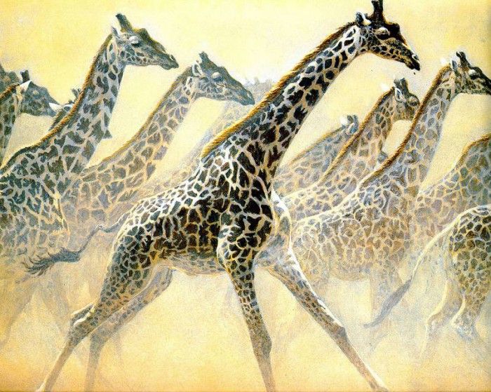 Safari 04 Giraffe Robert Bateman sqs. Bateman, 