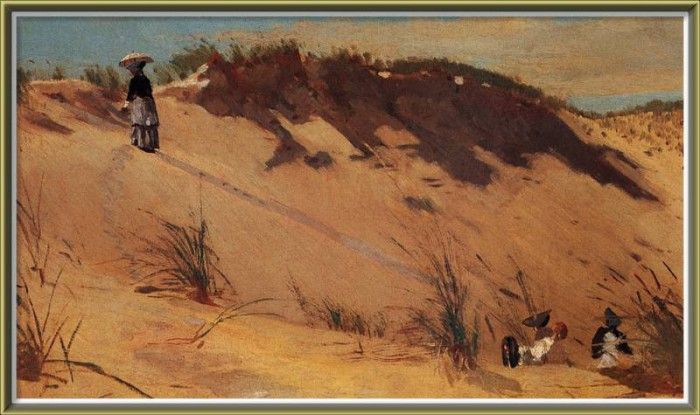 zFox SWD WH 11 The Sand Dune 1872. , 