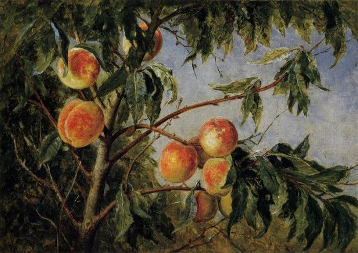 Wittredge Worthington Peaches 1894. Whittredge,  