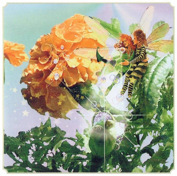 kb Cross Tom Aut Marigold Fairy. , 