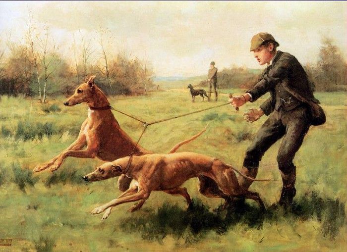 Kilburne George Goodwin Training of greyhounds Sun. Kilburne  