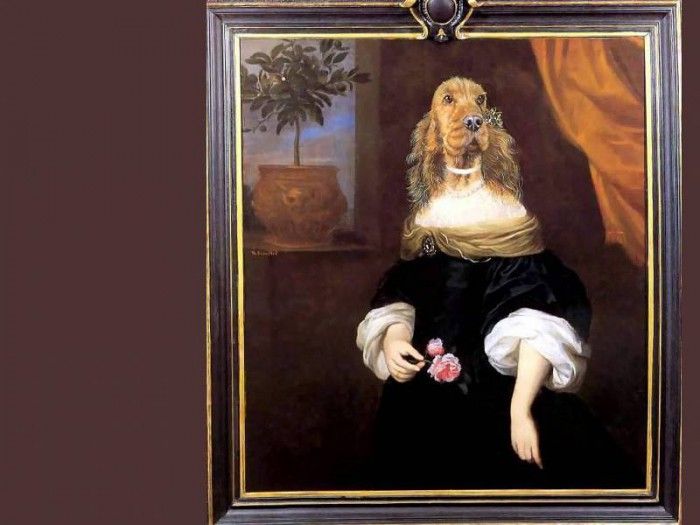 dog portraits csg029 agnes courvoisier. , 