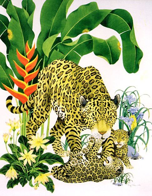 Chen, Tony - Jaguars (end. , 